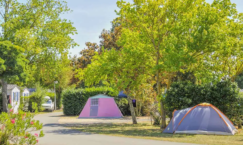 Emplacement Entrée de Camping