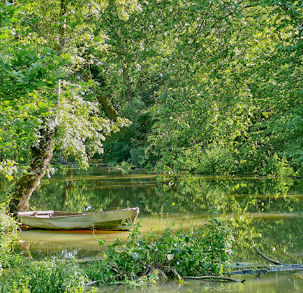 camping proche du marais poitevin