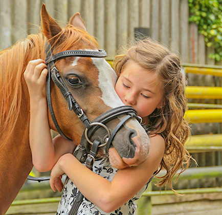 centre equestre la rochelle