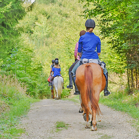horse riding in charente maritime