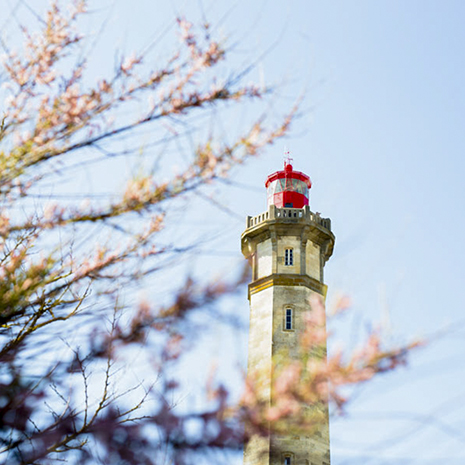 visiter ile de re proche la rochelle