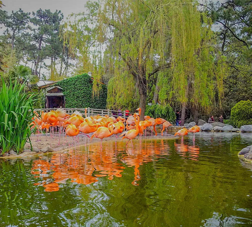 zoo la rochelle