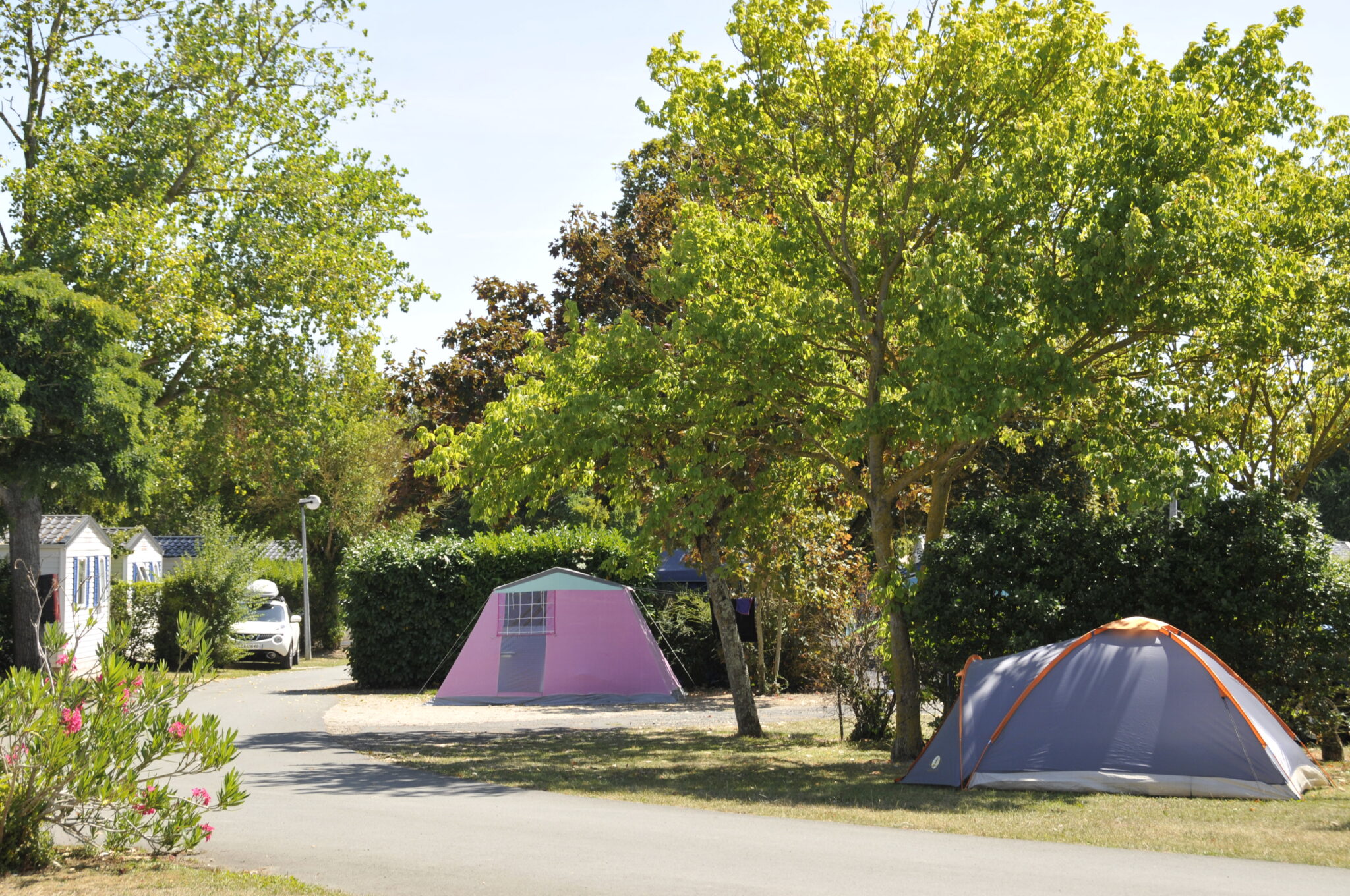 Campsite at La Rochelle ᐃ LE BEAULIEU **** Charente Maritime