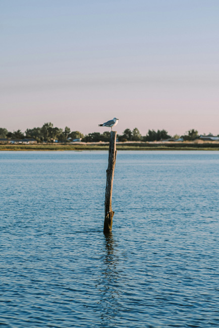 villages de l’île de Ré à proximité du camping