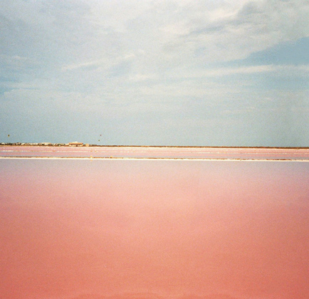 marais salants de l’île de Ré